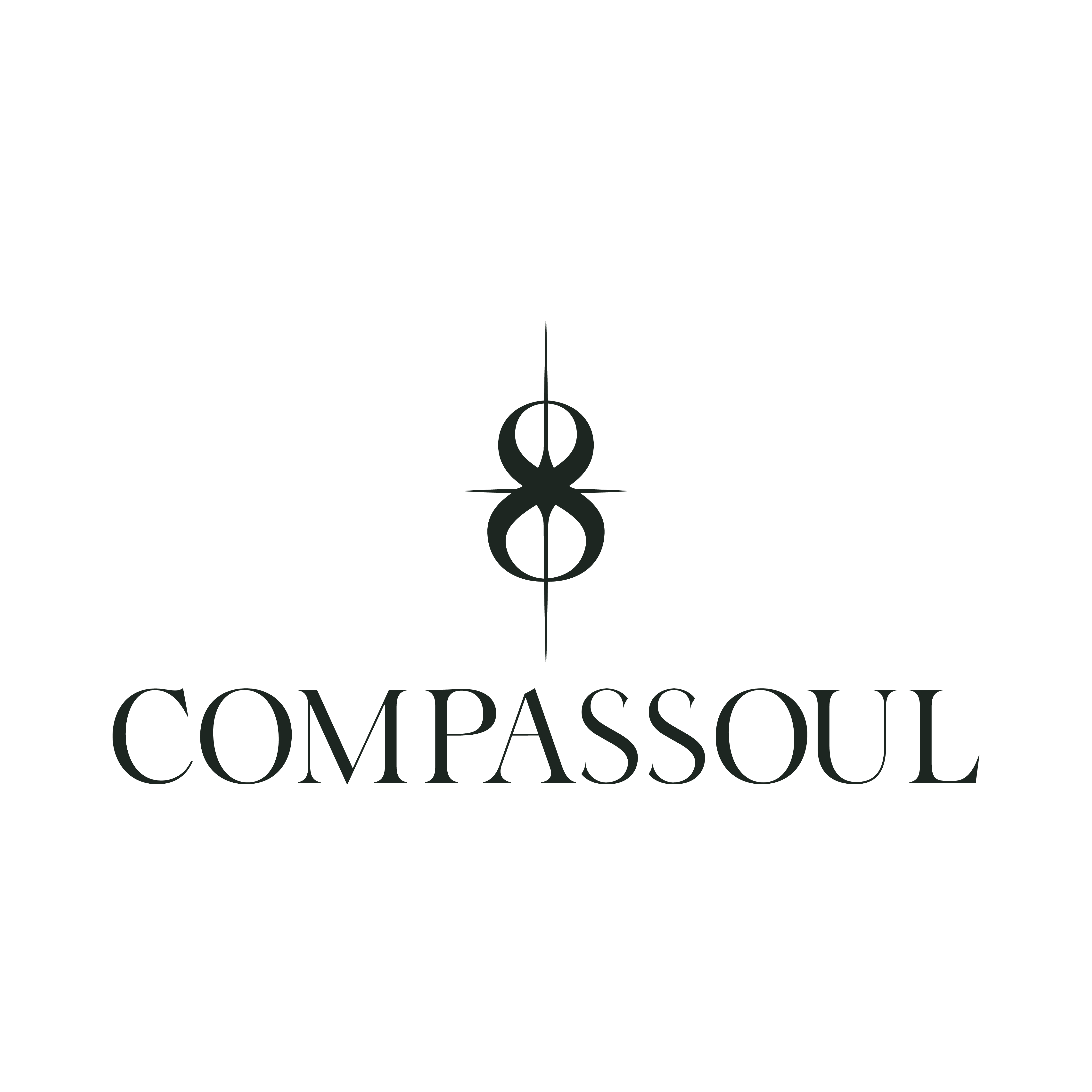 Compasssoul logo