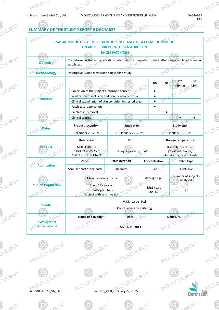 PDF first-page preview